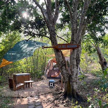 Cayuco Camping Baru Hotel Santa Ana  Eksteriør billede